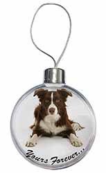 Liver and White Border Collie "Yours Forever..." Christmas Bauble