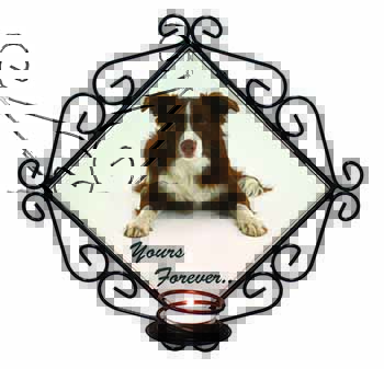 Liver and White Border Collie "Yours Forever..." Wrought Iron Wall Art Candle Ho
