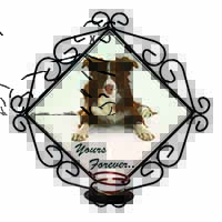 Liver and White Border Collie "Yours Forever..." Wrought Iron Wall Art Candle Ho