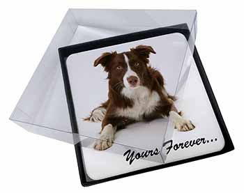 4x Liver and White Border Collie "Yours Forever..." Picture Table Coasters Set i