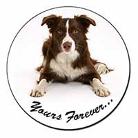 Liver and White Border Collie "Yours Forever..." Fridge Magnet Printed Full Colo