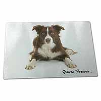 Large Glass Cutting Chopping Board Liver and White Border Collie "Yours Forever.