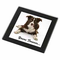 Liver and White Border Collie "Yours Forever..." Black Rim High Quality Glass Co
