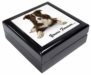 Liver and White Border Collie "Yours Forever..." Keepsake/Jewellery Box