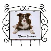 Liver and White Border Collie "Yours Forever..." Wrought Iron Key Holder Hooks