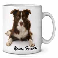 Liver and White Border Collie "Yours Forever..." Ceramic 10oz Coffee Mug/Tea Cup