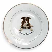 Liver and White Border Collie "Yours Forever..." Gold Rim Plate Printed Full Col