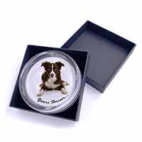 Liver and White Border Collie "Yours Forever..." Glass Paperweight in Gift Box