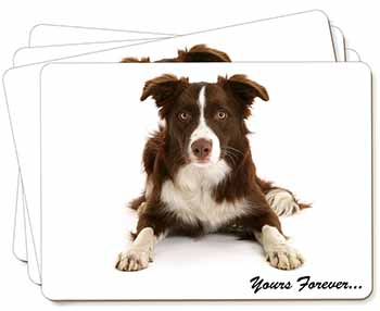 Liver and White Border Collie "Yours Forever..." Picture Placemats in Gift Box