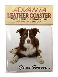 Liver and White Border Collie "Yours Forever..." Single Leather Photo Coaster