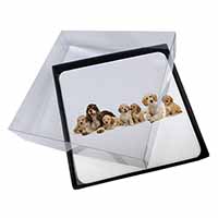 4x Cockerpoodles Picture Table Coasters Set in Gift Box