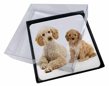 4x Poodle and Cockerpoo Picture Table Coasters Set in Gift Box