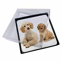 4x Poodle and Cockerpoo Picture Table Coasters Set in Gift Box