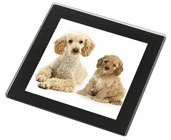 Poodle and Cockerpoo Black Rim High Quality Glass Coaster