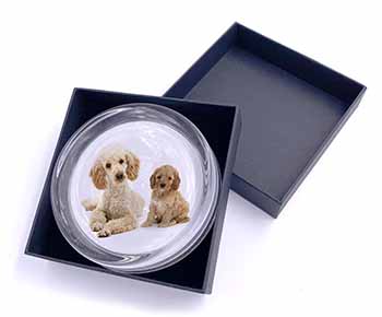 Poodle and Cockerpoo Glass Paperweight in Gift Box