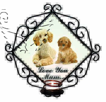 Cockerpoo Pup 