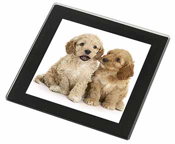 Cockerpoo Puppies Black Rim High Quality Glass Coaster