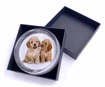 Cockerpoo Puppies Glass Paperweight in Gift Box