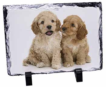 Cockerpoo Puppies, Stunning Photo Slate