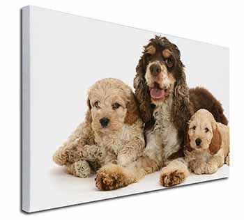 Cocker Spaniel and Cockerpoo Canvas X-Large 30"x20" Wall Art Print