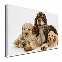 Cocker Spaniel and Cockerpoo Canvas X-Large 30"x20" Wall Art Print