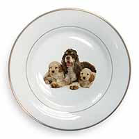 Cocker Spaniel and Cockerpoo Gold Rim Plate Printed Full Colour in Gift Box