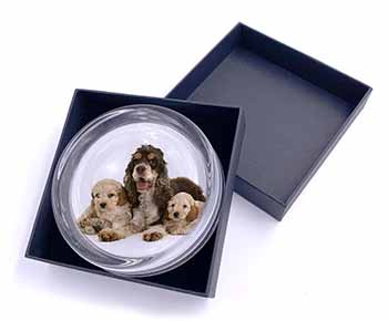Cocker Spaniel and Cockerpoo Glass Paperweight in Gift Box