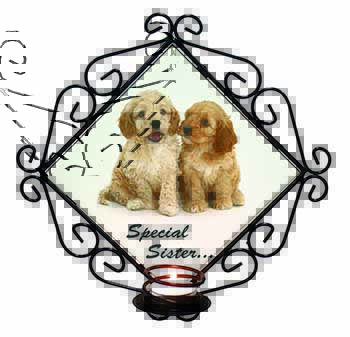 Cockerpoodles 