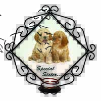 Cockerpoodles 