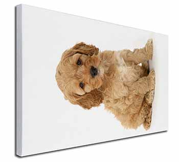 Cockerpoodle Canvas X-Large 30"x20" Wall Art Print