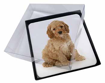 4x Cockerpoodle Picture Table Coasters Set in Gift Box