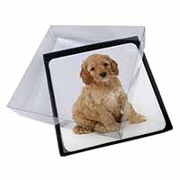 4x Cockerpoodle Picture Table Coasters Set in Gift Box