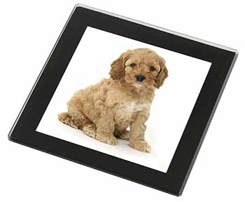 Cockerpoodle Black Rim High Quality Glass Coaster