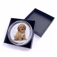 Cockerpoodle Glass Paperweight in Gift Box