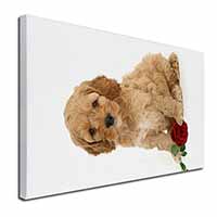 Cockerpoodle Puppy with Red Rose Canvas X-Large 30"x20" Wall Art Print