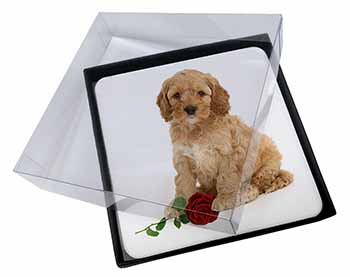 4x Cockerpoodle Puppy with Red Rose Picture Table Coasters Set in Gift Box