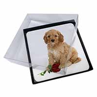 4x Cockerpoodle Puppy with Red Rose Picture Table Coasters Set in Gift Box