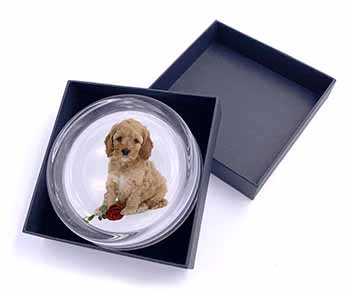 Cockerpoodle Puppy with Red Rose Glass Paperweight in Gift Box