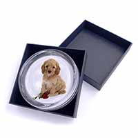 Cockerpoodle Puppy with Red Rose Glass Paperweight in Gift Box