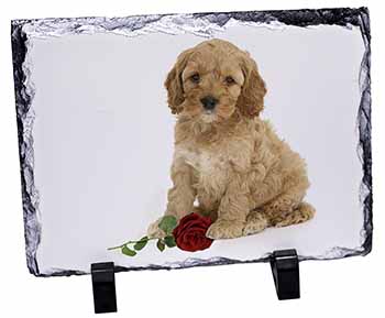 Cockerpoodle Puppy with Red Rose, Stunning Photo Slate