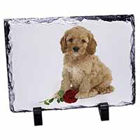 Cockerpoodle Puppy with Red Rose, Stunning Photo Slate