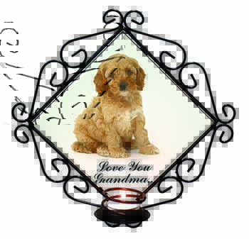 Cockerpoodle Dog 