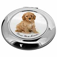 Cockerpoodle Puppy 