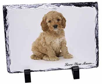 Cockerpoodle Puppy 