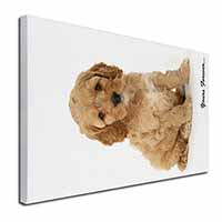 Cockerpoodle Puppy "Yours Forever..." Canvas X-Large 30"x20" Wall Art Print