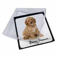 4x Cockerpoodle Puppy "Yours Forever..." Picture Table Coasters Set in Gift Box
