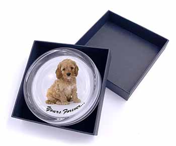 Cockerpoodle Puppy "Yours Forever..." Glass Paperweight in Gift Box