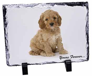 Cockerpoodle Puppy "Yours Forever...", Stunning Photo Slate