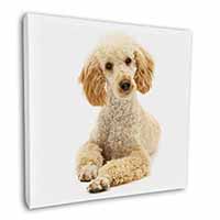 Apricot Poodle Square Canvas 12"x12" Wall Art Picture Print