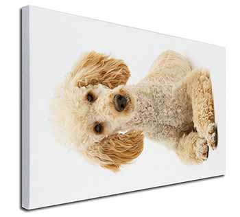 Apricot Poodle Canvas X-Large 30"x20" Wall Art Print